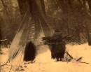 Edward.S.Curtis